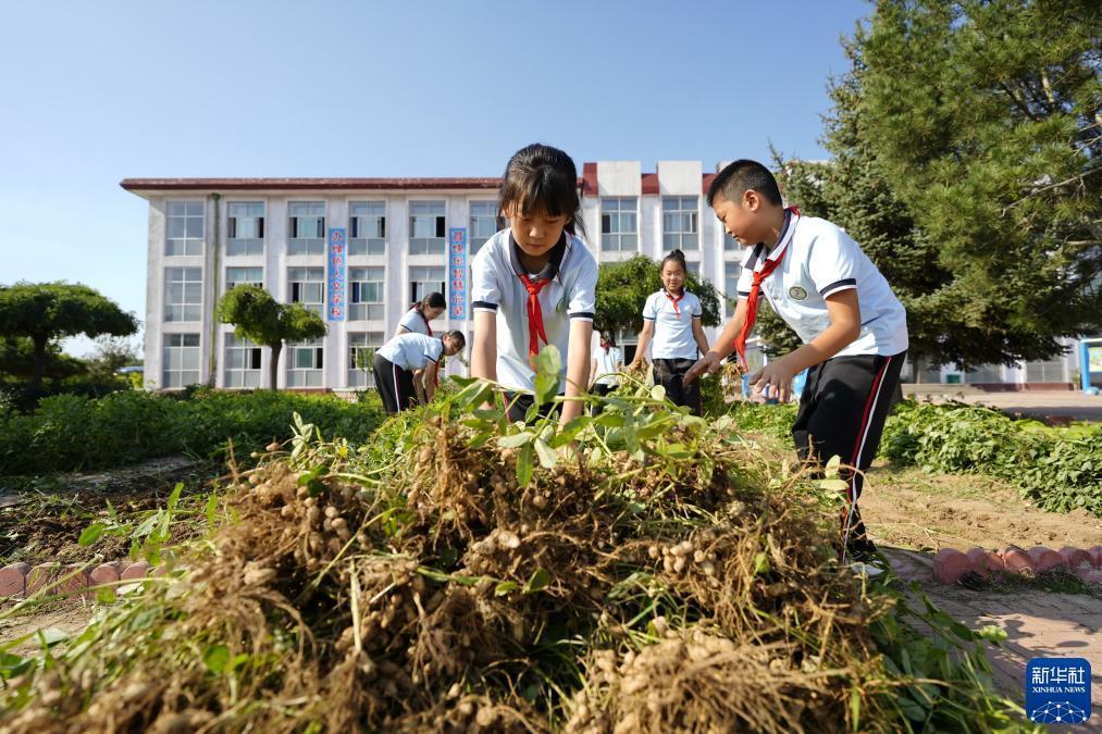 ag注册平台
